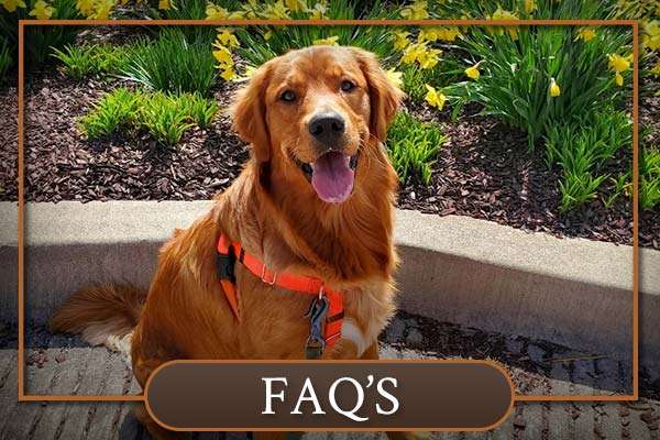 Sunnyside Meadows Frequently Asked Questions Sunnyside Meadows Frequently Asked Questions